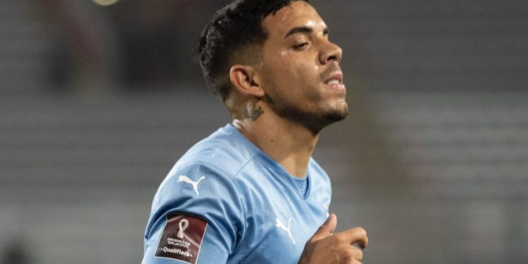 David Terans : salario y costes de transferencia