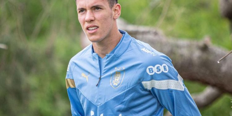 Thiago Borbas: salario y costes de transferencia